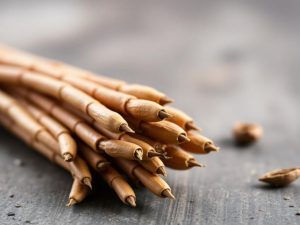 La cannelle : une épice aux multiples bienfaits